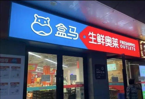 對話盒馬侯毅 做企業(yè)不賺錢，總歸覺得是種恥辱——新零售的批發(fā)兼零售之道