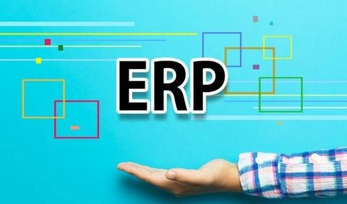 外貿(mào)出口商家ERP系統(tǒng)定制 深圳軟件開發(fā)的力量與優(yōu)勢